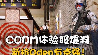 codm体验服最新爆料,神秘武器登场，战场格局再起风云  第2张
